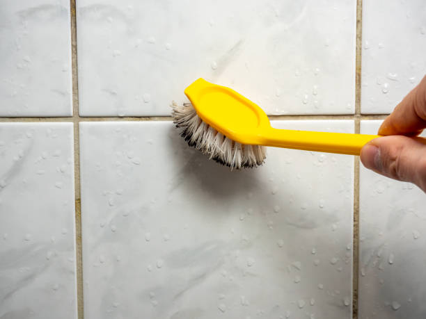 Office Mold Removal Services in Sutter, CA
