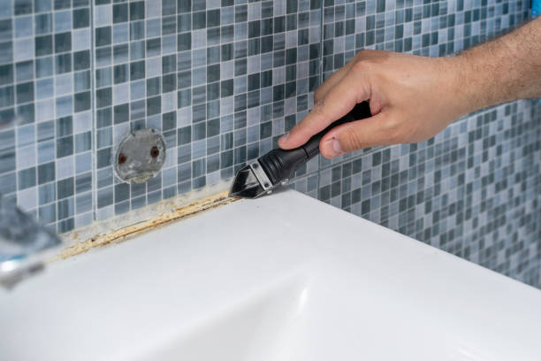 Best Local Mold Removal Service  in Sutter, CA