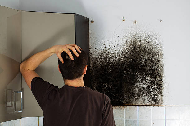 Best Professional Mold Removal  in Sutter, CA